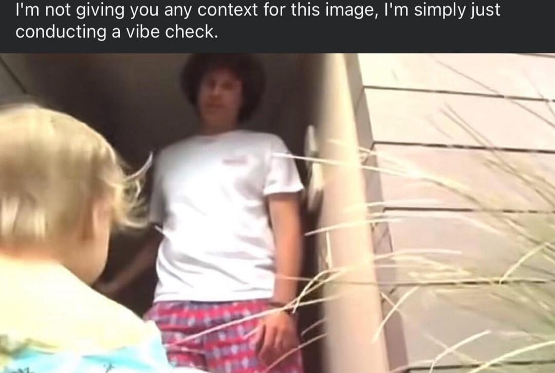 I'm not giving you any context for this image, I'm simply just conducting a vibe check.