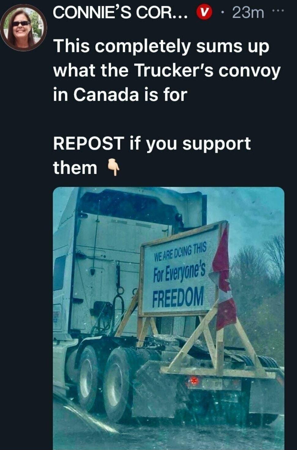 Go CONNIES COR V 23m This completely sums up what the Truckers convoy in Canada is for REPOST if you support GET br of BE I 4 Rs LB in Hy