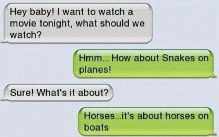 Hey baby! I want to watch a movie tonight, what should we watch? Hmm... How about Snakes on planes! Sure! What's it about? Horses...it's about horses on boats
