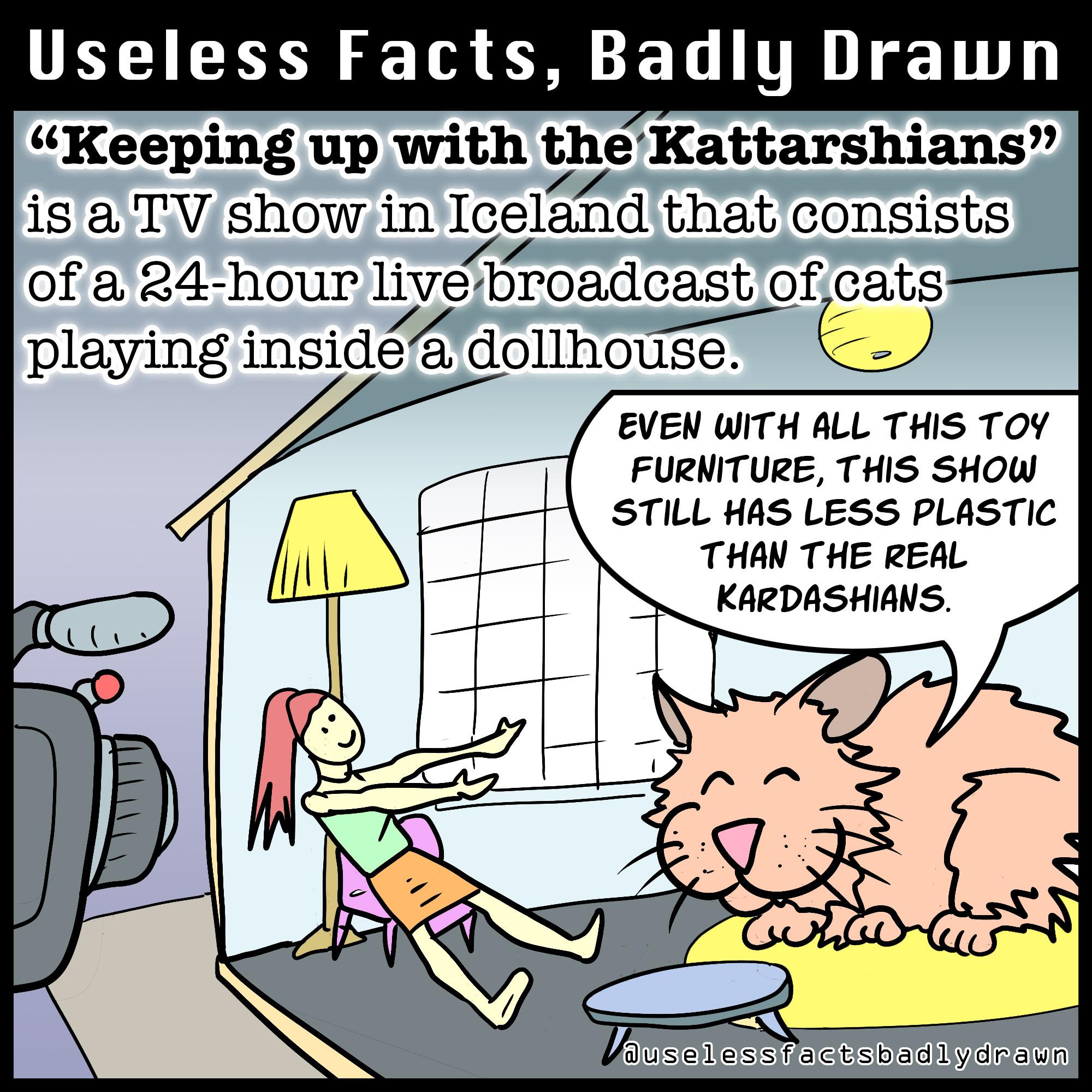 UELIERN S T L TR 1T Keeping up with tleKattarshians is a TV show in Iggland that consists of a 4 hour lilvebroadat oficats playing insida dollhouse EVEN WITH ALL THIS TOY FURNITURE THIS SHOW STILL HAS LESS PLASTIC THAN THE REAL