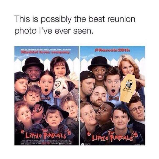 This is possibly the best reunion photo Ive ever seen i itrie RASALS