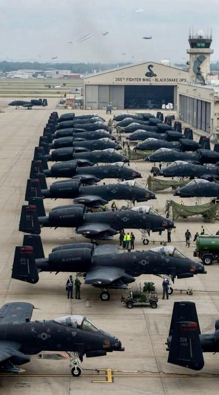 The image shows a large number of A-10 Thunderbolt II (Warthog) attack aircraft parked on an airfield tarmac. In the background, a hangar is visible with the text '355TH FIGHTER WING - BLACKSNAKE OPS' and a snake logo. Many aircraft also have 'BLACKSNAKE' written on their engines or fuselage, and 'SN' with numbers on their tail fins. Ground crew pe