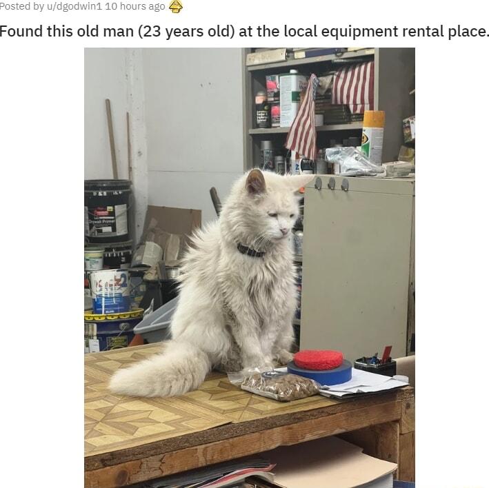 a0 e Found this old man 23 years old at the local equipment rental place