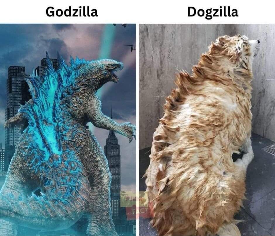 Dogzilla S N o S