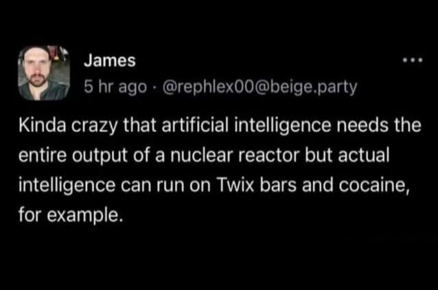 Kinda crazy that artifical intelligence needs the entire output of a nuclear reactor but actual intelligence can run on Twix bars and cocaine, for example.