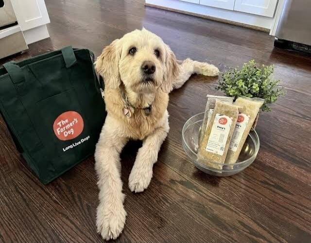 The Farmer's Dog Long Live Dogs Poppy's