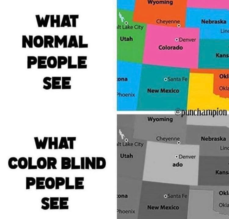 WHAT NORMAL PEOPLE SEE COLOR BLIND PEOPLE SEE