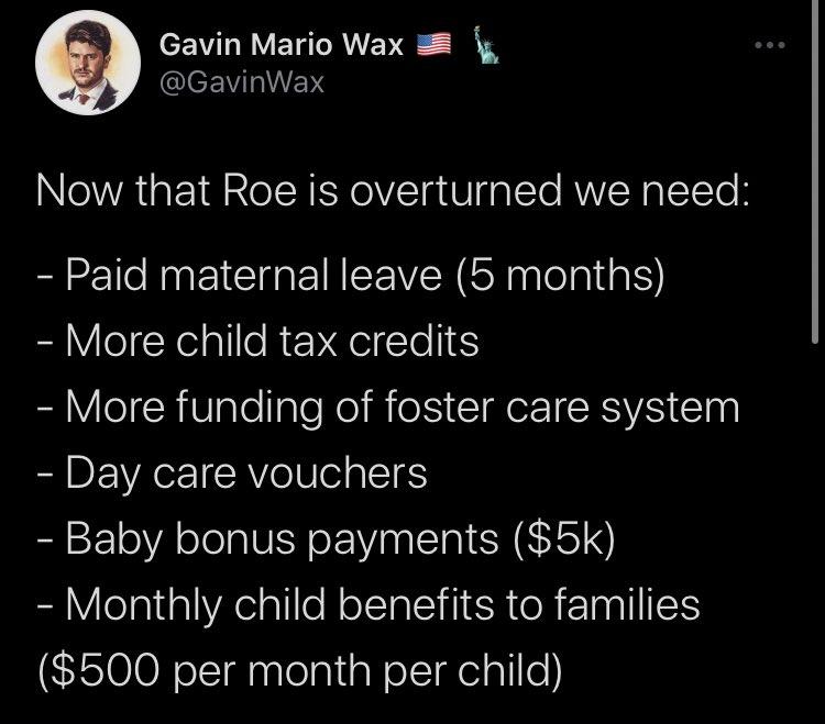 Gavin Mario Wax 28 CleEWLIVENS Now that Roe is overturned we need Paid maternal leave 5 months More child tax credits R LCICRVilelple I RS I IRV i Day care vouchers Baby bonus payments 5k Monthly child benefits to families 500 per month per child