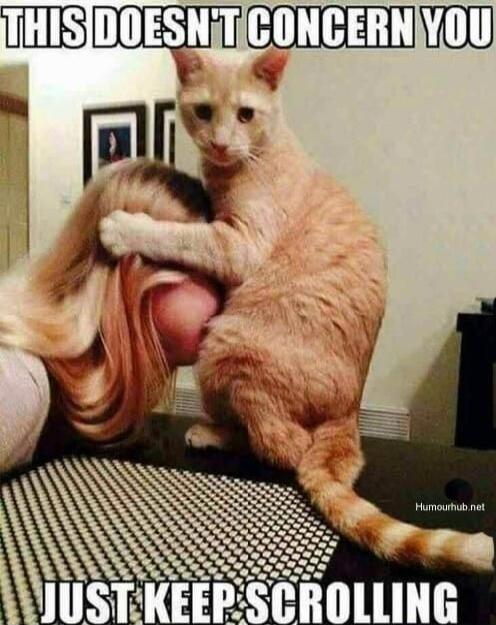 THIS DOESN'T CONCERN YOU JUST KEEP SCROLLING