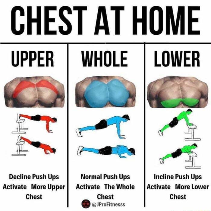 CHEST AT HOME UPPER WHOLE LOWER OB E3