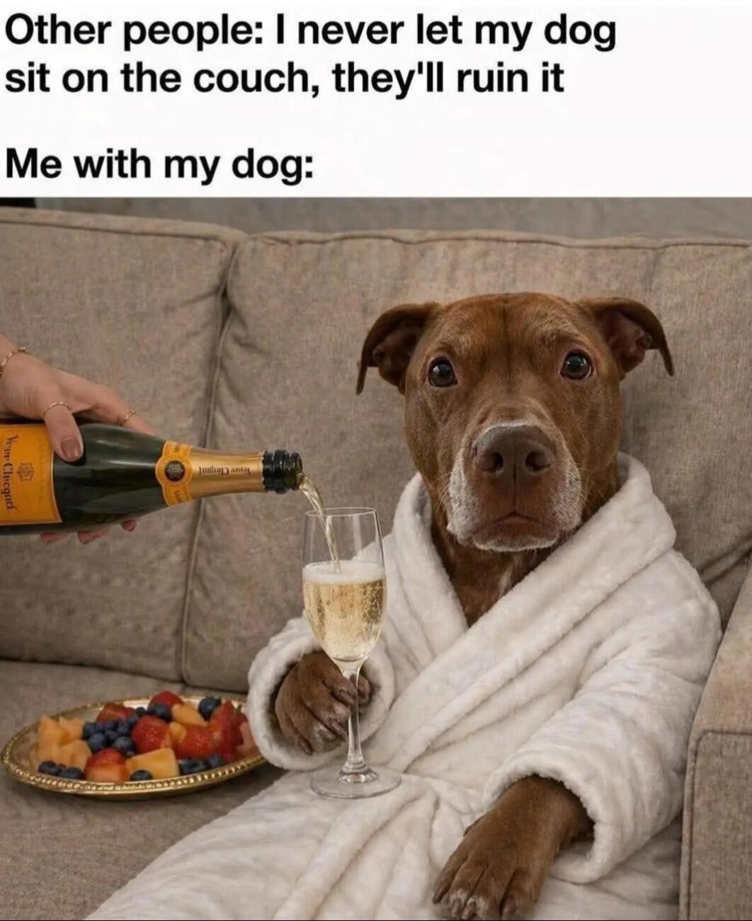 Other people: I never let my dog sit on the couch, they'll ruin it. Me with my dog: