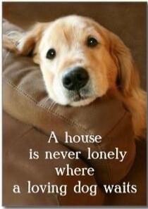 A house is never lonely where a loving dog waits