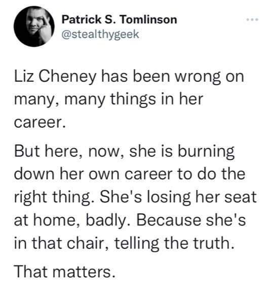 Patrick S Tomlinson stealthygeek Liz Cheney has been wrong on many many things in her career But here now she is burning down her own career to do the right thing Shes losing her seat at home badly Because shes in that chair telling the truth That matters