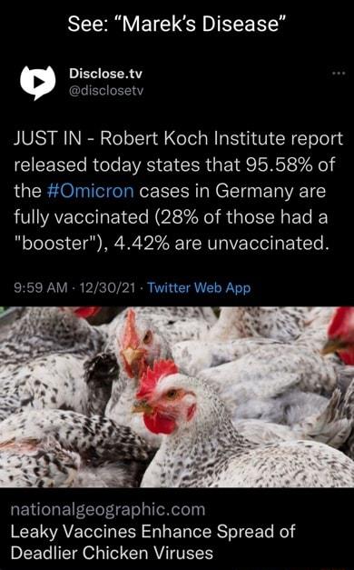 See Mareks Disease Disclosetv CEEEEEE JUST IN Robert Koch Institute report released today states that 9558 of the Omicron cases in Germany are fully vaccinated 28 of those had a booster 442 are unvaccinated 959 AM 123021 Twitter Web App nationalgeographiccom Leaky Vaccines Enhance Spread of Deadlier Chicken Viruses