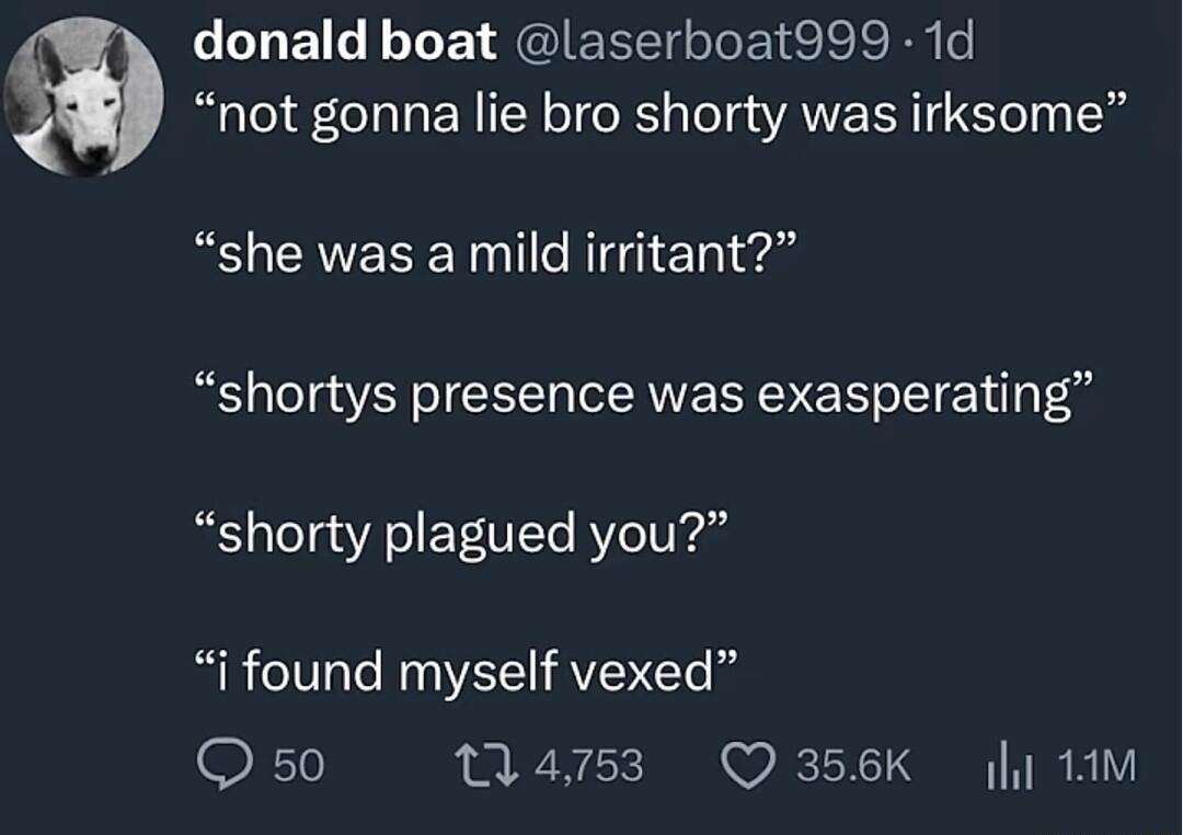 LLEILEGE JGIEEEGRE IRl not gonna lie bro shorty was irksome she was a mild irritant shortys presence was exasperating shorty plagued you i found myself vexed Q 50 4753 Q356K 1M