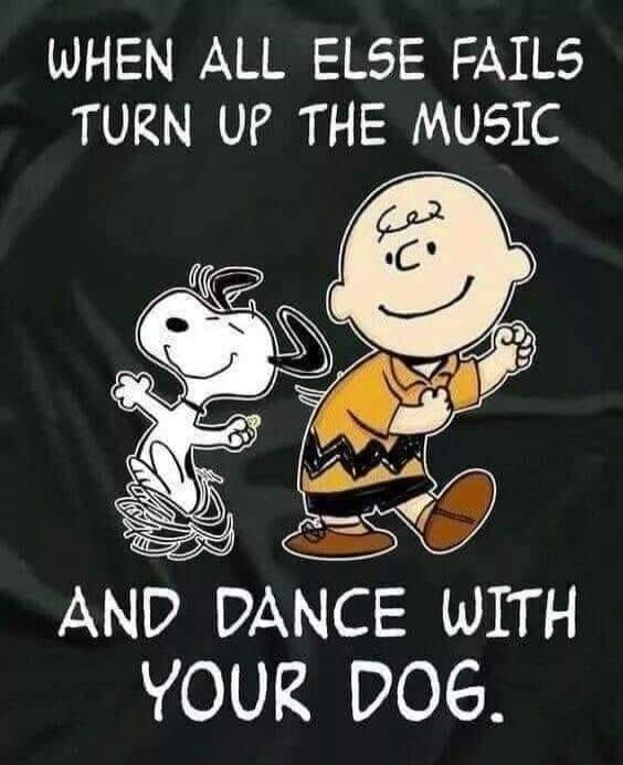 WHEN ALL ELSE FAILS TURN UP THE MUSIC AND DANCE WITH YOUR DOG.