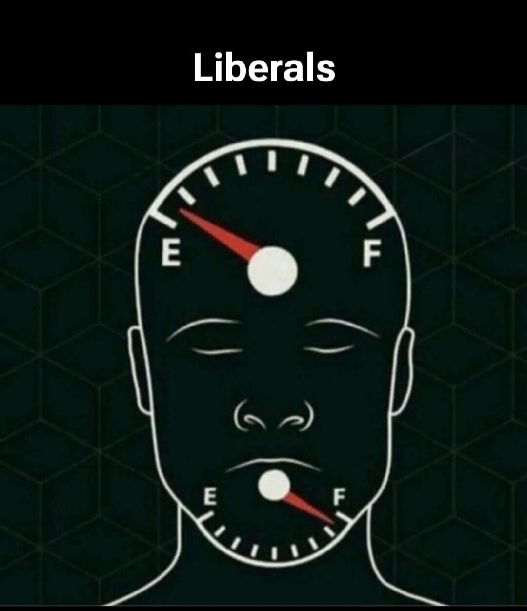 Liberals
E F E F