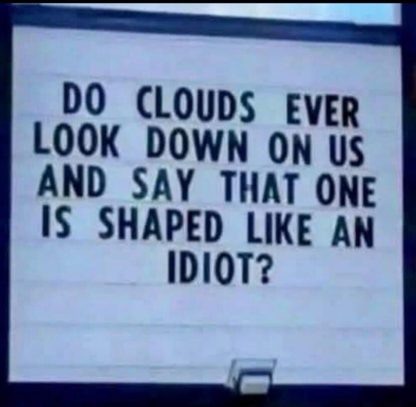 DO CLOUDS EVER LOOK DOWN ON US AND SAY THAT ONE IS SHAPED LIKE AN IDIOT?