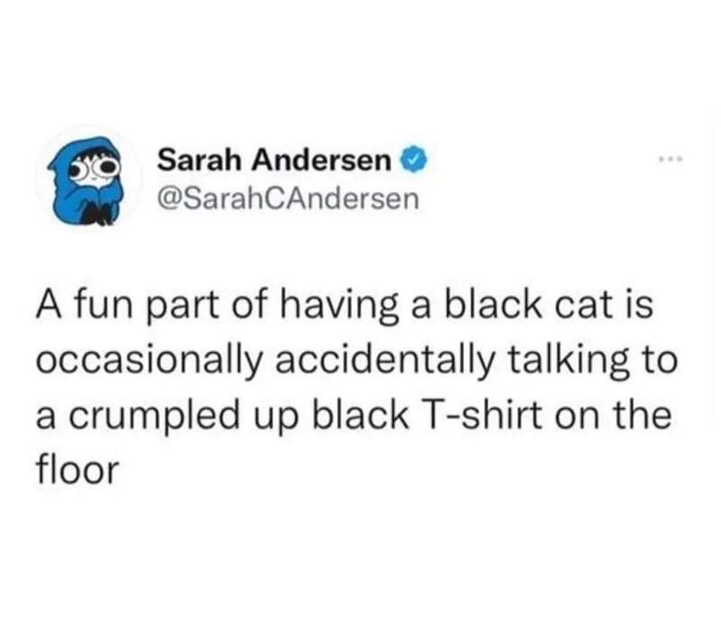 Sarah Andersen SarahCAndersen A fun part of having a black cat is occasionally accidentally talking to a crumpled up black T shirt on the floor