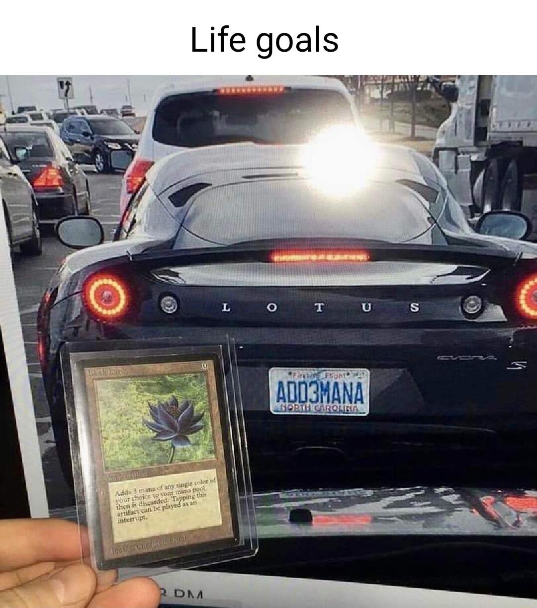 Life goals