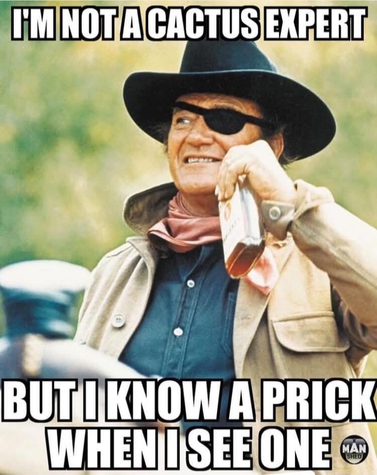 I'M NOT A CACTUS EXPERT BUT I KNOW A PRICK WHEN I SEE ONE