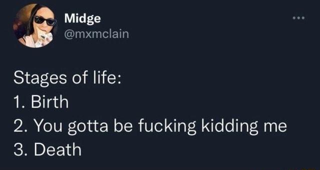 LULES Stages of life 1 Birth 2 You gotta be fucking kidding me 3 Death