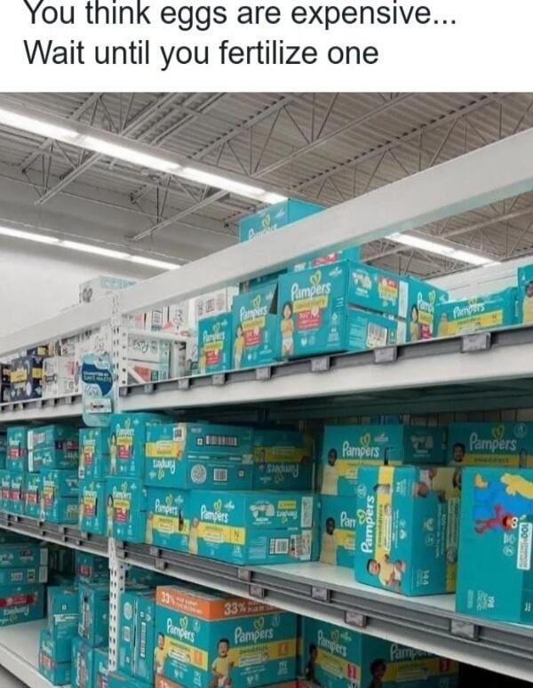 You think eggs are expensive... Wait until you fertilize one