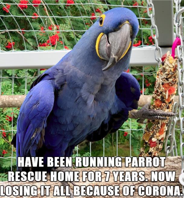 HAVE BEEN RUNNINGEA zRESCUEHOMEE A TOSINGITAILBECAUSEOFCORO