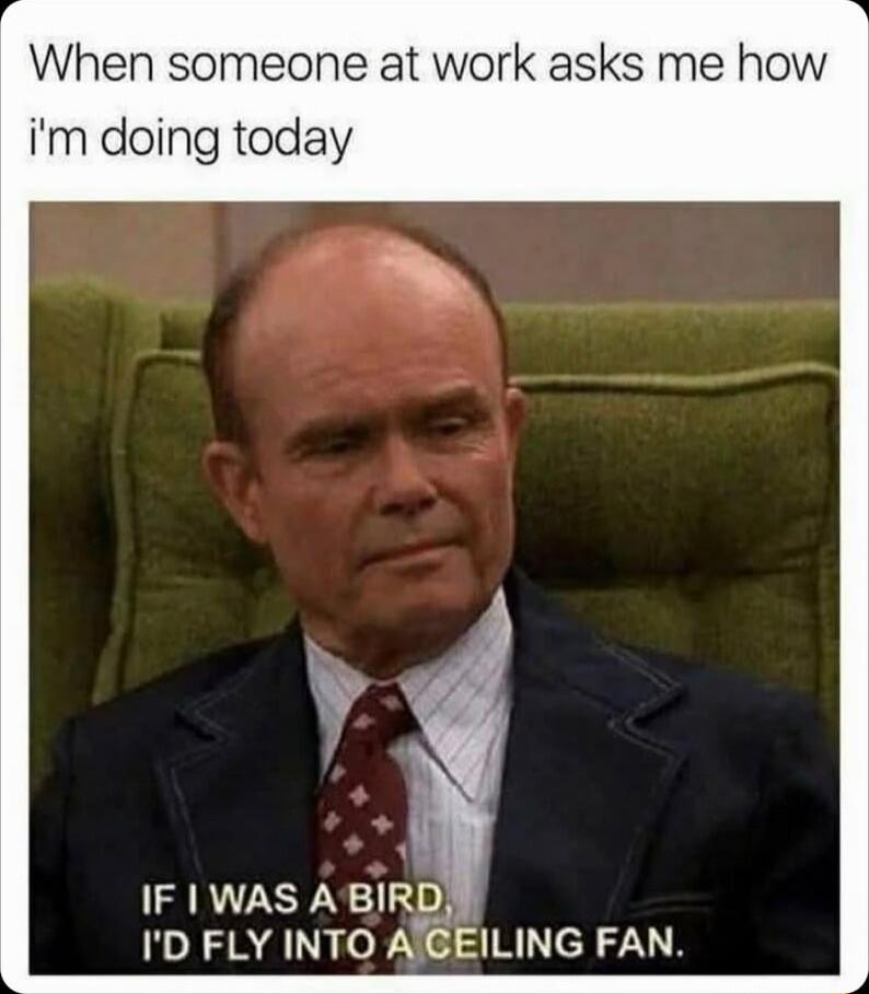 When someone at work asks me how im doing today sn P IF WAS ABIRD ID FLY INTO ACEILING FAN