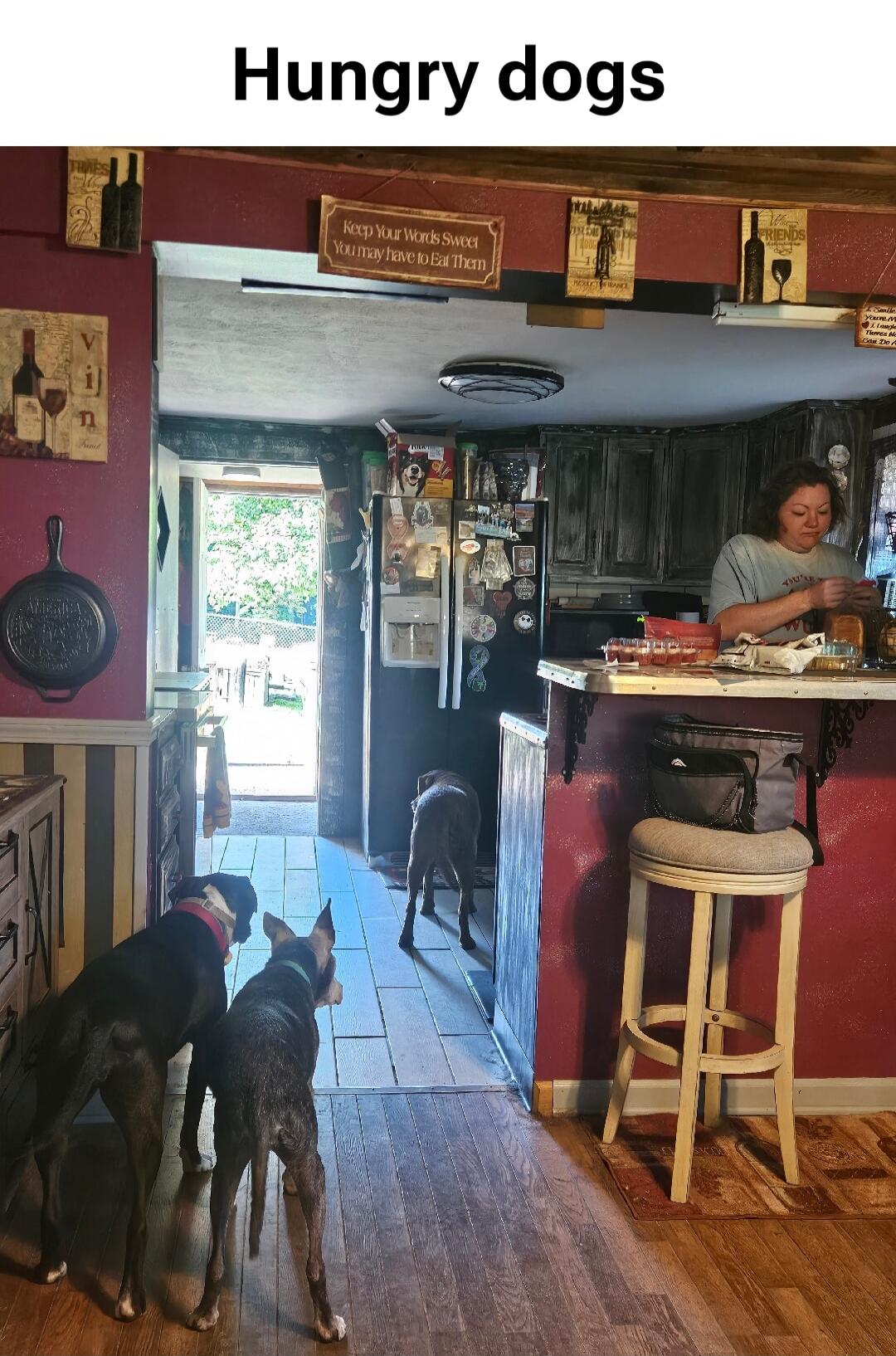 Hungry dogs. Keep Your Words Sweet You may have to Eat Them. FRIENDS. VINE.