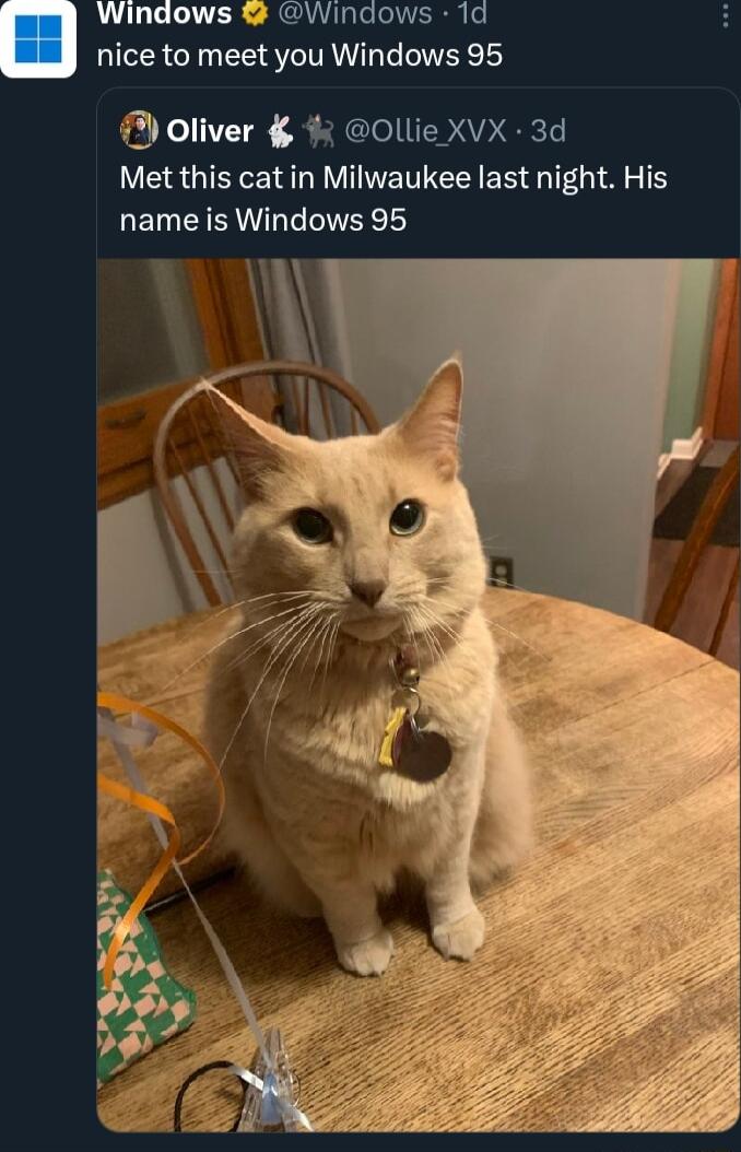 Windows Windows 1d nice to meet you Windows 95 oliver OLlie XVX 3d LR GIEE QI IIWETTEEI ER l A T LEMEISL LY