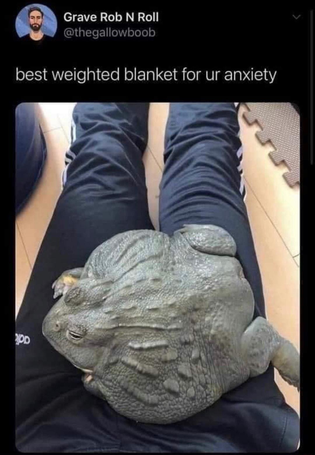 Grave Rob N Roll S QW e pICle NolETal I oMU Ta P 10