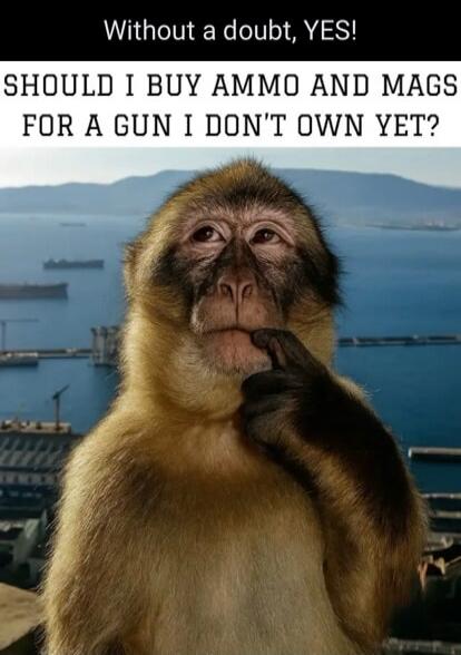 Without a doubt, YES!
SHOULD I BUY AMMO AND MAGS FOR A GUN I DON'T OWN YET?