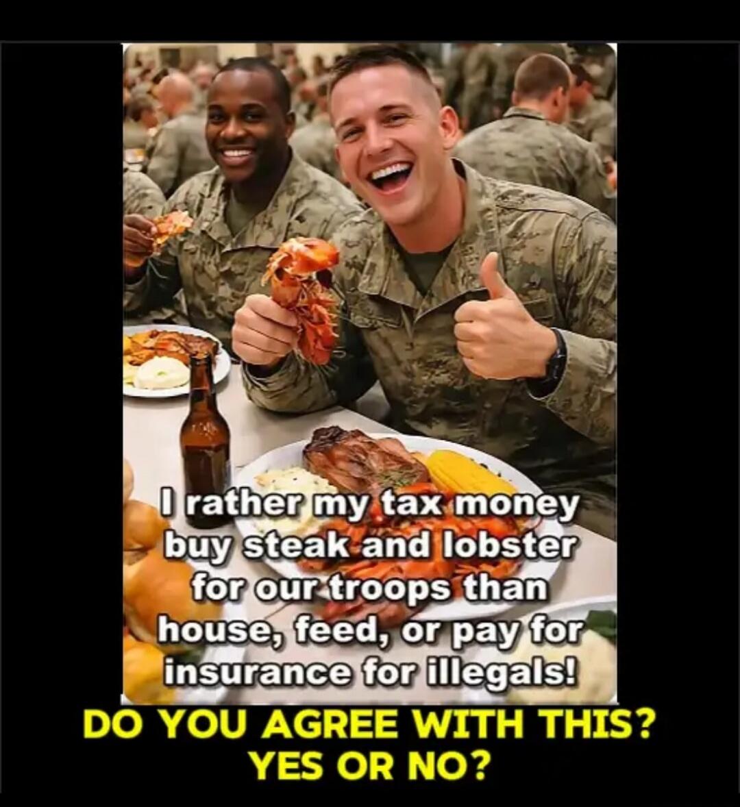 I rather my tax money buy steak and lobster for our troops than house, feed, or pay for insurance for illegals! DO YOU AGREE WITH THIS? YES OR NO?