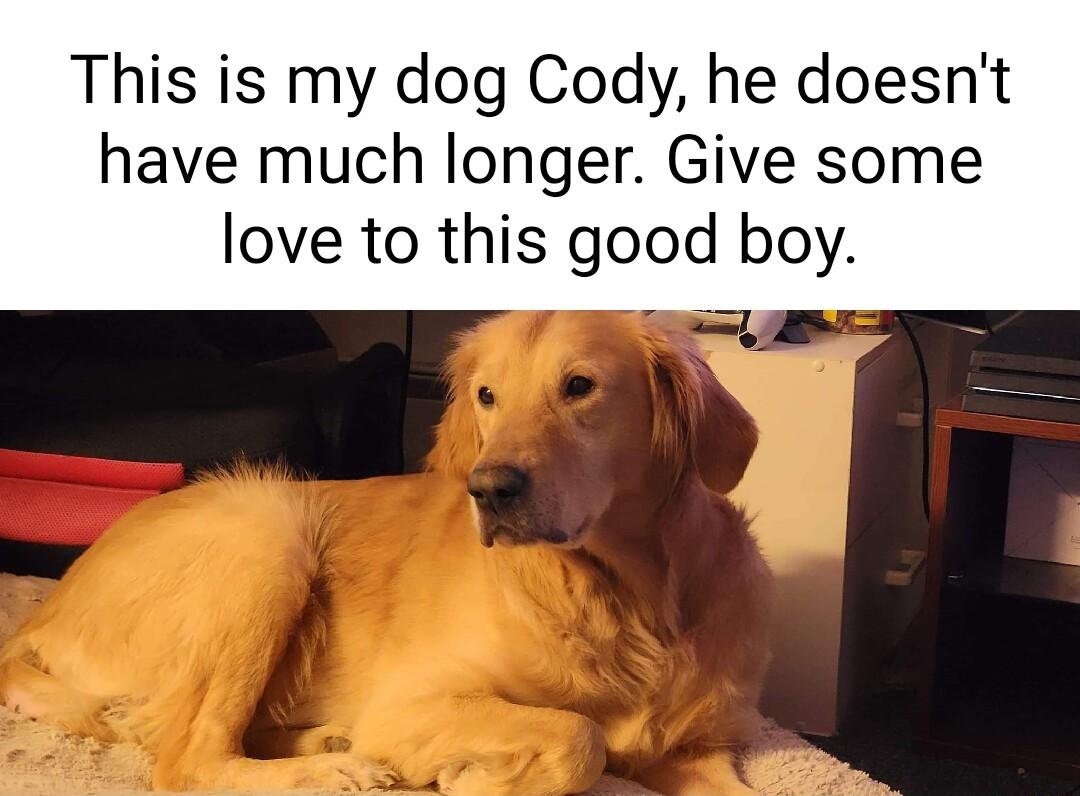 This is my dog Cody he doesnt have much longer Give some love to this good boy