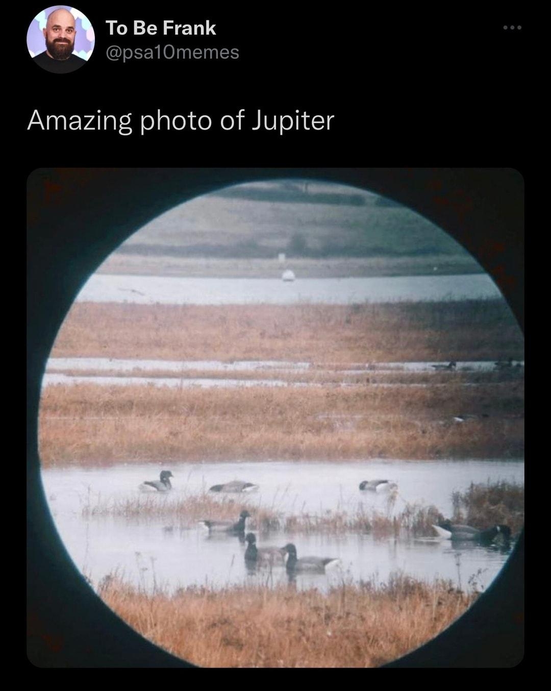 To Be Frank psalOmemes Amazing photo of Jupiter Sk 14 QRICH