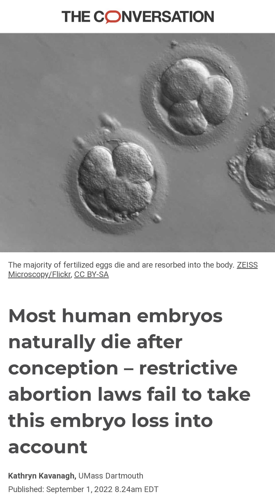 THE CONVERSATION The majority of fertilized eqgs die and are resorbed into the body ZEISS MicroscopyFlickr CC BY SA Most human embryos naturally die after conception restrictive abortion laws fail to take this embryo loss into account Kathryn Kavanagh UMass Dartmouth Published September 1 2022 824am EDT