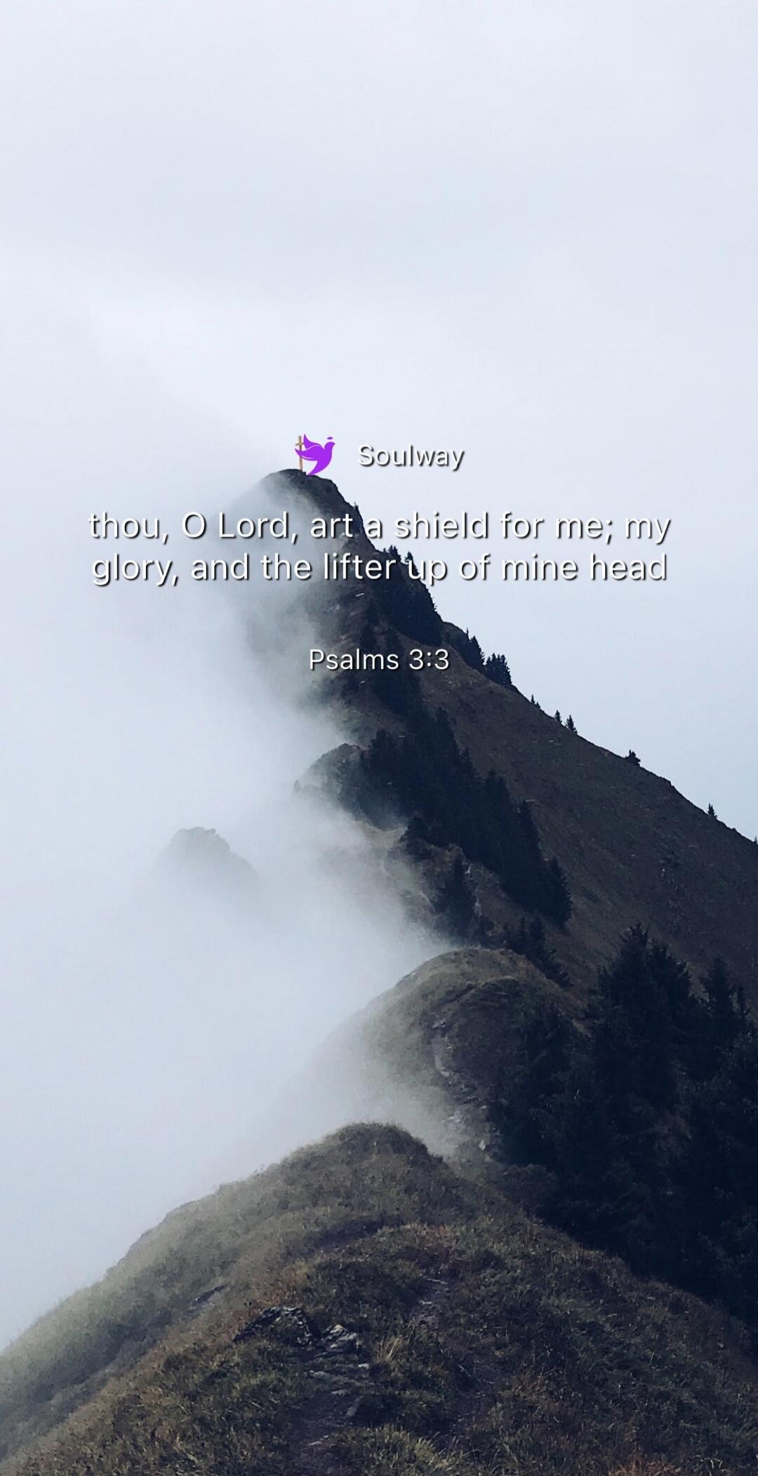 Soulway
thou, O Lord, art a shield for me; my glory, and the lifter up of mine head
Psalm 3:3