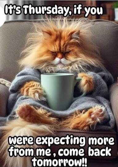 It's Thursday, if you were expecting more from me, come back tomorrow!!