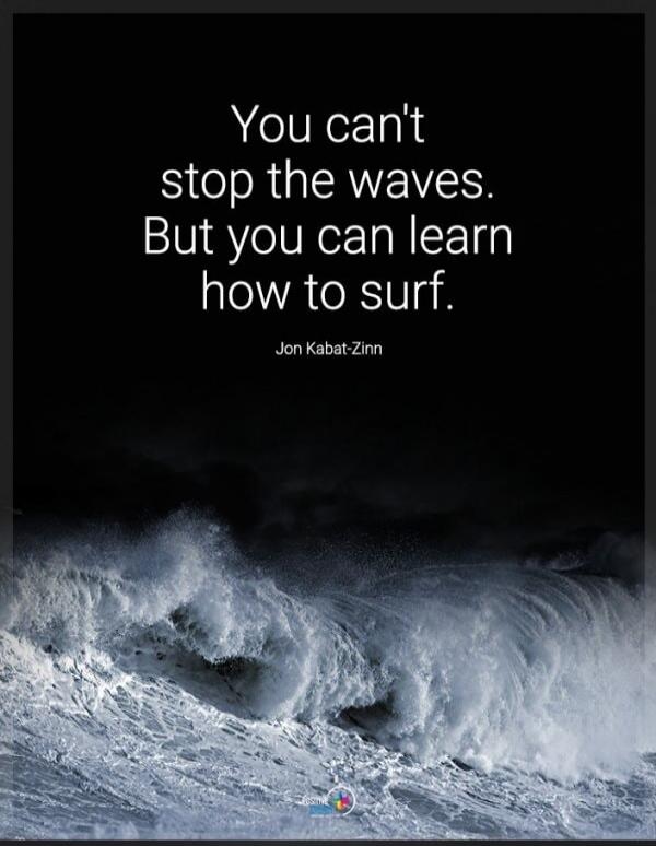 You can't stop the waves. But you can learn how to surf. Jon Kabat-Zinn