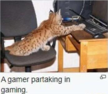 A gamer partaking in