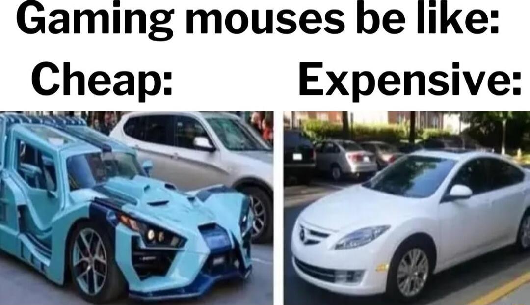 aming mouses Cheap Expensive
