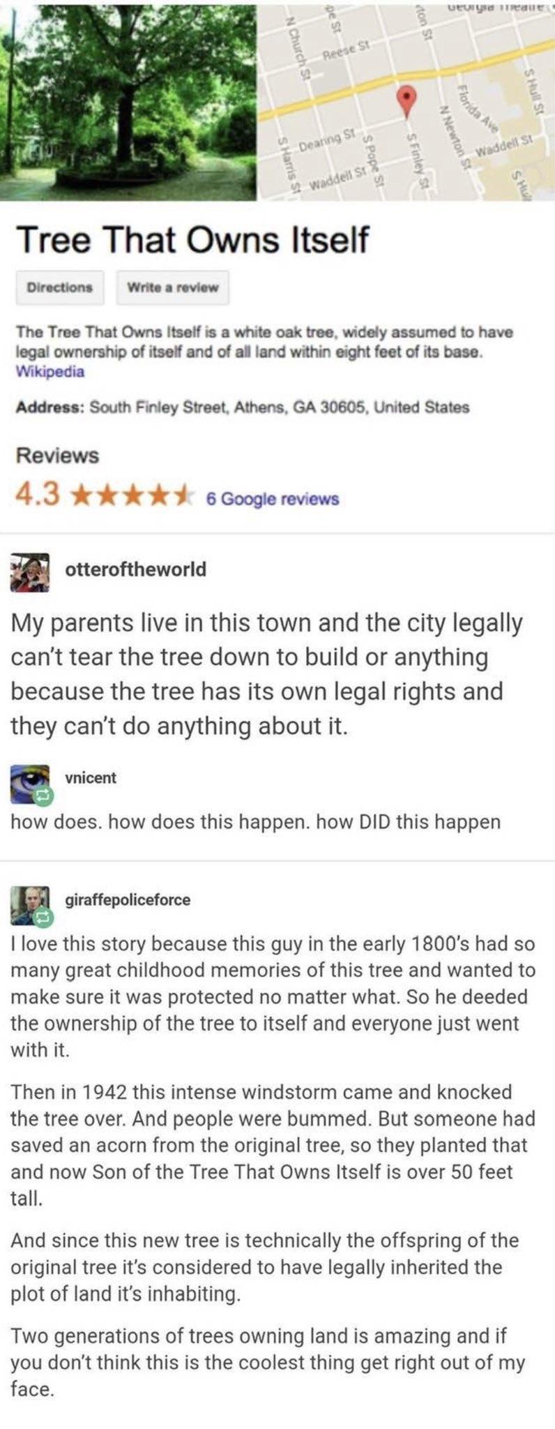 wEWEE T Tree That Owns Itself Directions Write a review The Tree That Owns Itself is a white oak tree widely assumed to have legal ownership of itself and of all land within eight feet of its base Wikipedia Address South Finley Street Athens GA 30605 United States Reviews 43 k 4 6 Google reviews i otteroftheworld My parents live in this town and the city legally cant tear the tree down to build or