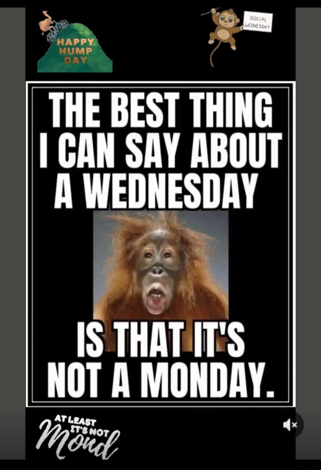 HAPPY HUMP DAY. SOCIAL WEDNESDAY. THE BEST THING I CAN SAY ABOUT A WEDNESDAY IS THAT IT'S NOT A MONDAY. AT LEAST IT'S NOT MONDAY.