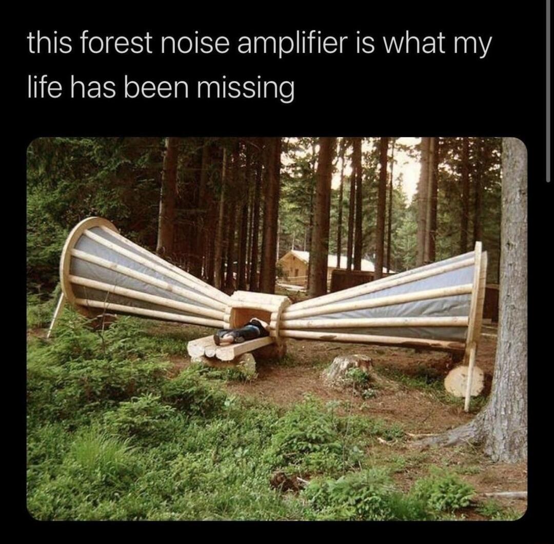 this forest noise amplifier is what my life has been missing