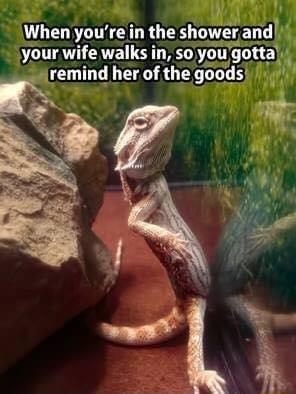 When youre in the showerand your mfe walks in 5o you gotta remind her of the goods T 3 N