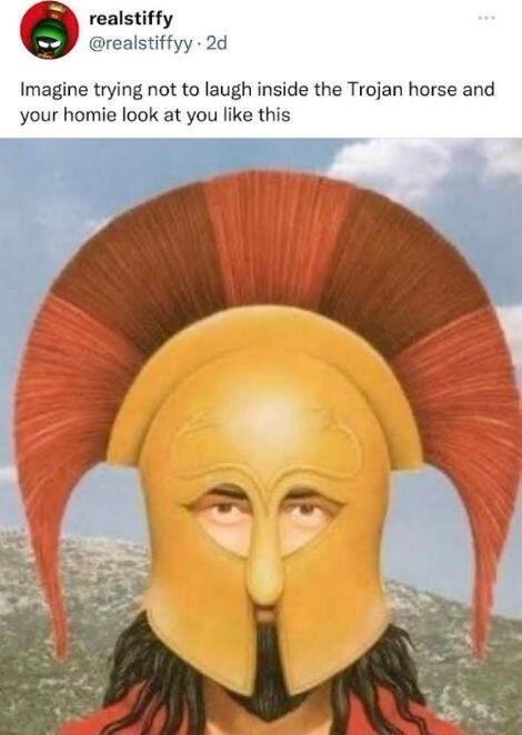 realstiffy Imagine trying not to laugh inside the Trojan horse and your homie look at you like this