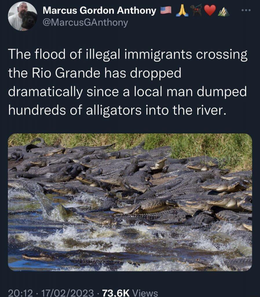 Marcus Gordon Anthony A 4 MarcusGAnthony The flood of illegal immigrants crossing the Rio Grande has dropped dramatically since a local man dumped hundreds of alligators into the river 2012 17022023 736K Views