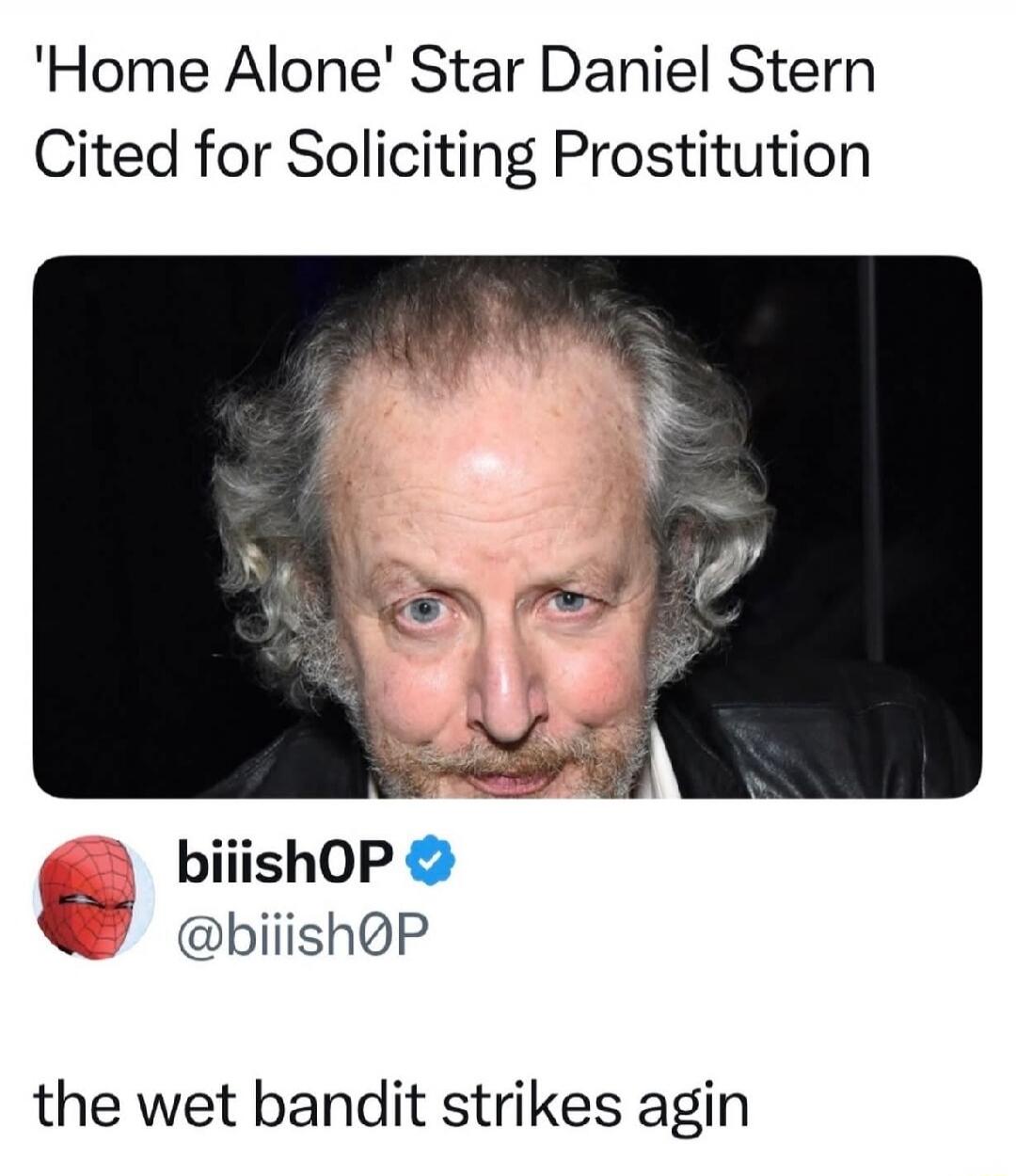 'Home Alone' Star Daniel Stern Cited for Soliciting Prostitution

the wet bandit strikes agin