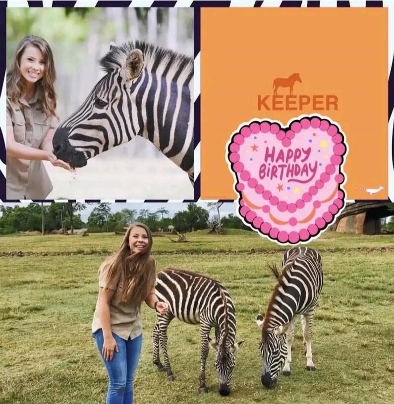 KEEPER HAPPY BIRTHDAY. Bindi Irwin feeding a zebra and standing with two zebras in a field.